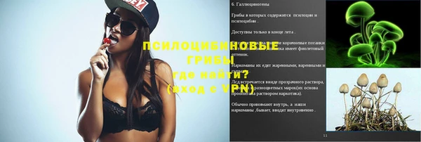 бошки Абинск