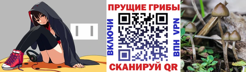 маркетплейс телеграм  Щучье  Галлюциногенные грибы Magic Shrooms 